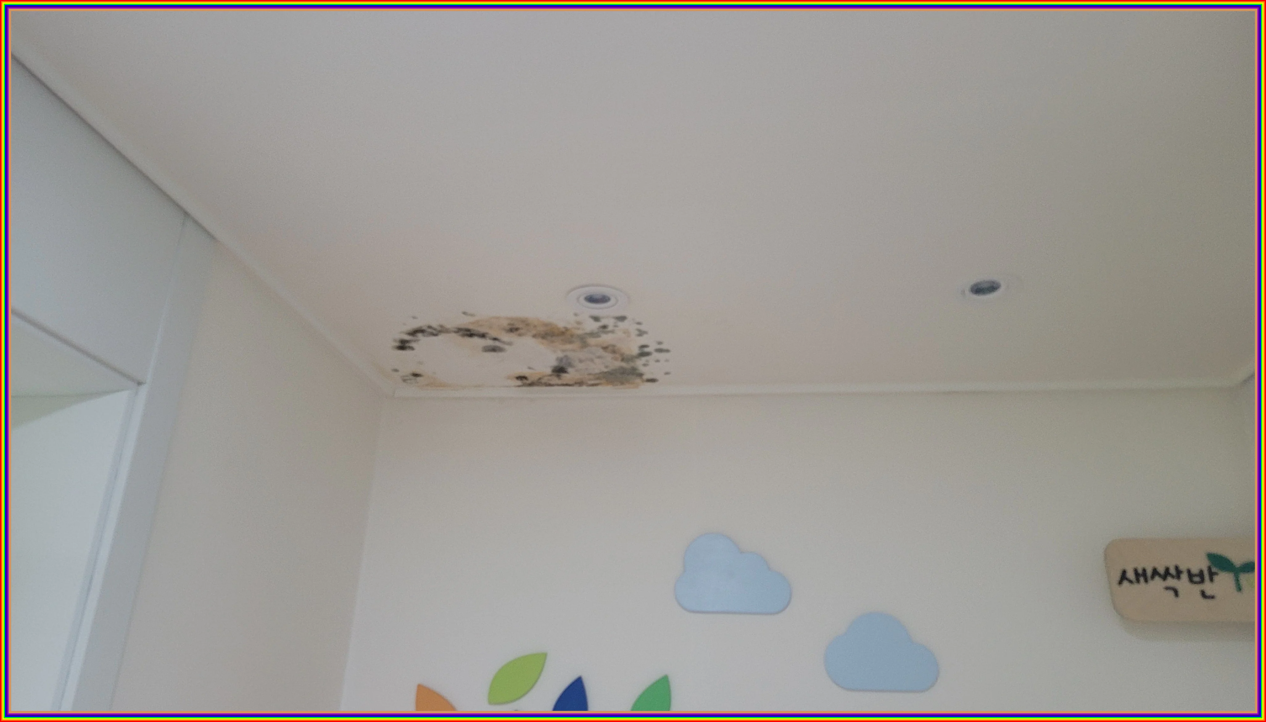 정밀 탐지 이미지